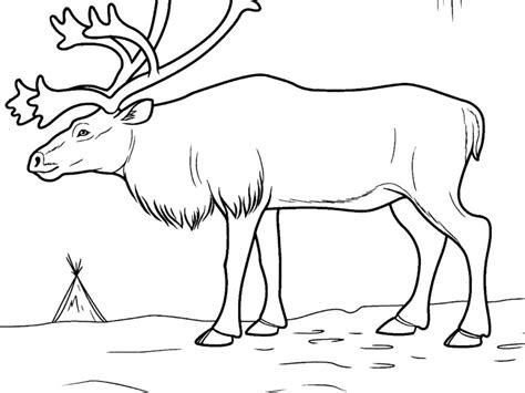 Renaissance red 2.0 (prominence red). 20 Beautiful Toyota Supra Coloring Pages