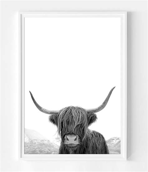 An Absolute Favourite Of Ours The Highland Cow Photography Print Is
