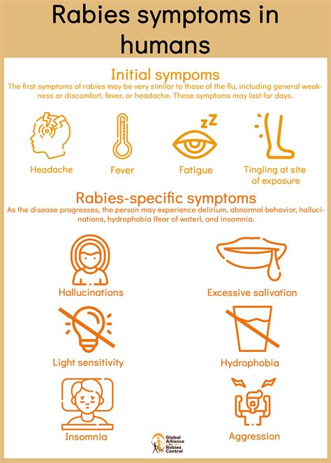Signs And Symptoms Of Rabies Global Alliance For Rabies Control
