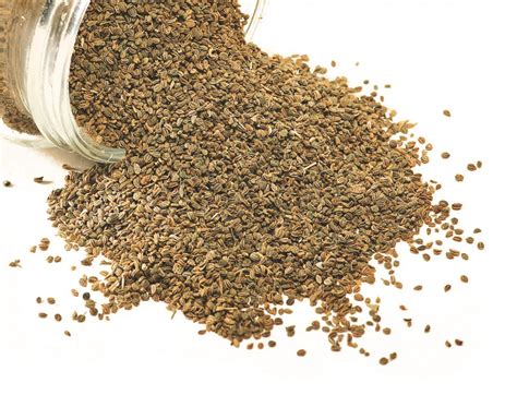 Meet The Spices Ajwain — Indian Raja Authentic Indian Restaurant In