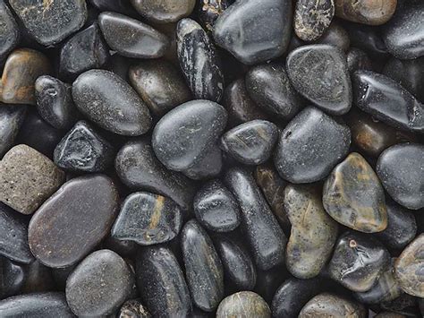Black Pebbles Polished Quarry Fast Shipping Landscape Supply
