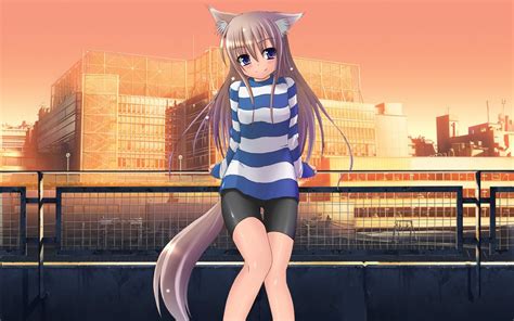 Wallpaper Nekomimi Anime Girls Cat Girl Original Characters