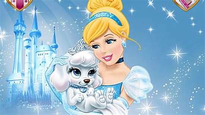 Cinderella Palace Disney Pets Princess Pumpkin Castle