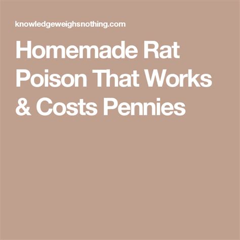 Make sure to look for and dispose of the dead rats; DIY Rat Poison Recipe - Cheap, Simple & 100% Safe Until ...