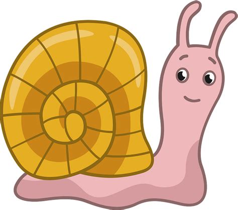 Cartoon Snail Illustration Snails Transparent Background Png Clipart