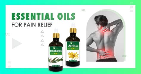 5 Best Essential Oils For Pain Relief Shoprythm