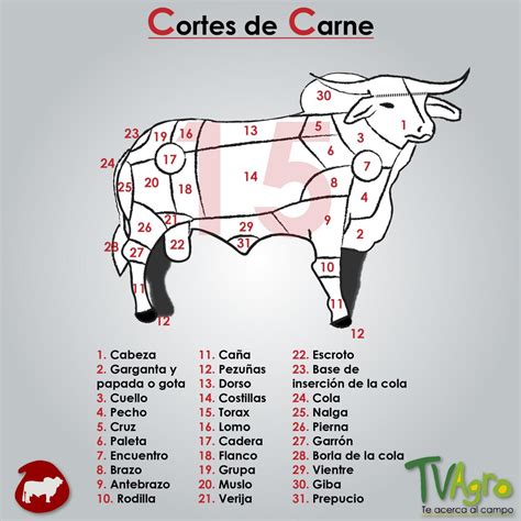 Maybe you would like to learn more about one of these? Canal Tv Agro on Twitter: "Principales cortes de la carne ...