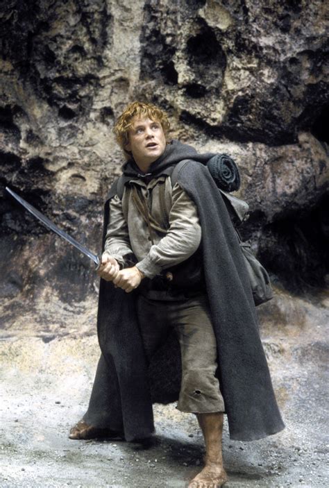 Samwise Gamgee Wallpapers Wallpaper Cave