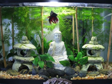 So, your betta fish needs lighting in his tank. split tank with betta - Google Search | Cool fish tanks, Fish tank decorations, Beta fish tank