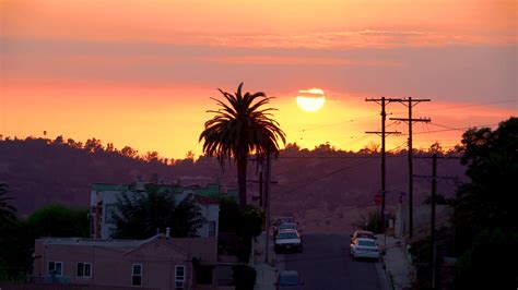 Sunset With Palm Trees In Los Angeles Stock Video Footage 0024 Sbv