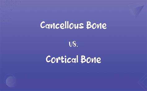Cancellous Bone Vs Cortical Bone Whats The Difference