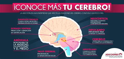 Conoce más a tu cerebro Las Adicciones Tienen Solución