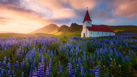 Hd Wallpaper Meadow Iceland Vik I Myrdal Vik I Myrdal Church