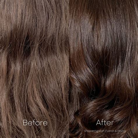 The shampoo concentrate– everist