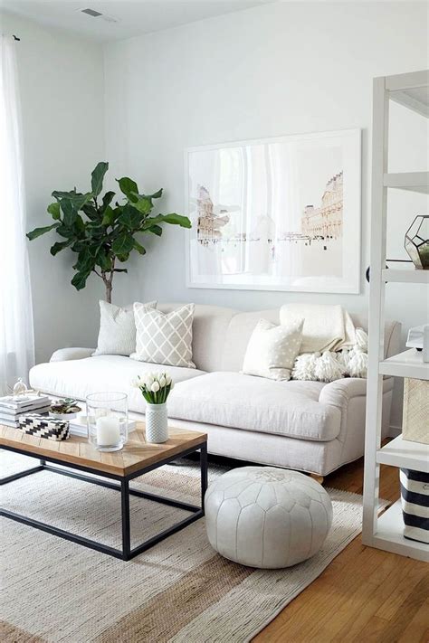They are always well behaved ! 25+ Best Small Living Room Decor and Design Ideas for 2020