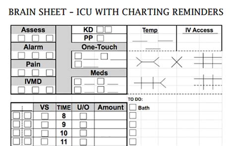 Nurse Brain Sheets Icu With Charting Reminders Scrubs The Leading