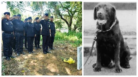Penghormatan Terakhir Buat Anjing Polis Bad Sumberkini