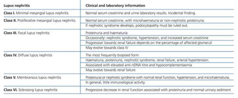 Lupus Nephritis Classification And Treatment