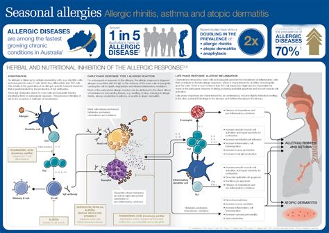 Seasonal Allergies Symptoms Seasonal Allergies Medical School