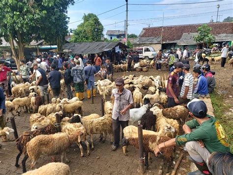 Wow Dua Pasar Hewan Di Sukabumi Hadirkan Cuan Sebesar Rp Milyar