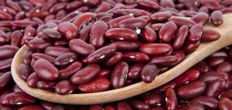 Maybe you would like to learn more about one of these? 6 Makanan Ini Dapat Menurunkan Kolesterol Jahat Lho! Kamu ...