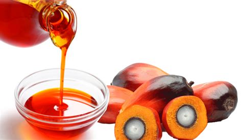 Things have to be discussed on side effects. DIY Wednesday: How to Extract Oil From Palm Fruits at Home ...