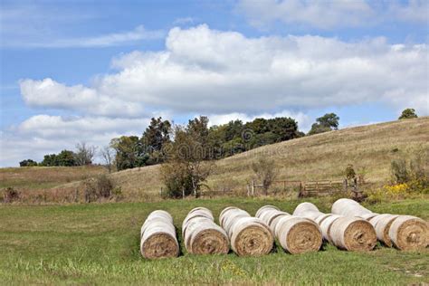 Green Pasture With Hay Bales Stock Photo Image Of Farming Bale 16521218