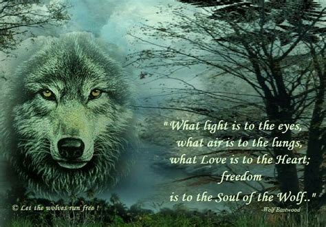 Wolf Spirit Animal Wolf Love Lone Wolf Quotes