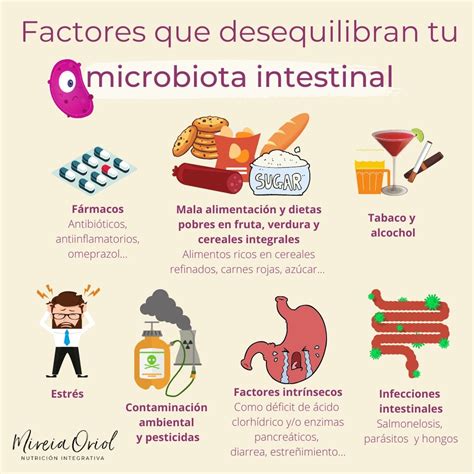 Factores Que Favorecen Tu Microbiota Intestinal Microbiota