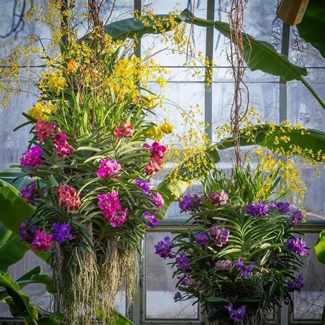 Walk through the beautiful scenery throughout the 385 acres, including 26 gardens, four natural areas, including prairie and woods, and 81 acres of water. Chicago Botanic Garden Orchid Show | UrbanMatter