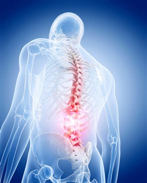 The Lumbar Spine Anatomy Function And Common Injuries