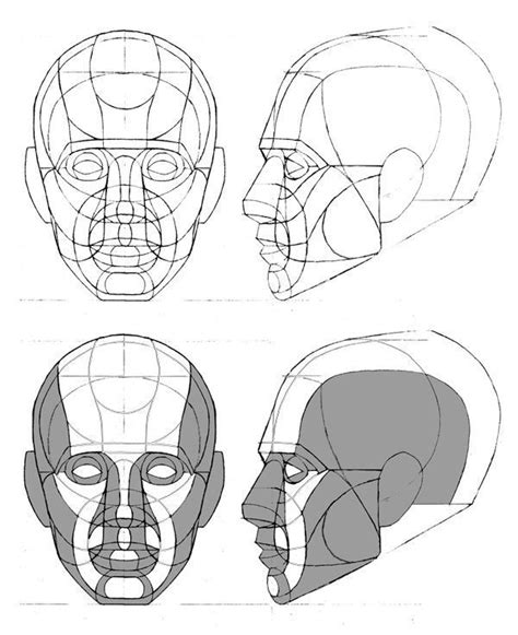 Image Interface For Human Head Drawing Reference Figure Drawing