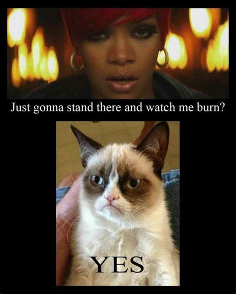 Grumpy Cat And Rihanna Just Going To Stand There And Watch Me Burn Yes Grumpy Cat Quotes