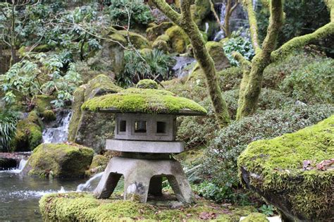 The classical zen garden, for example, is anika ogusu is a passionate gardener with a special interest in japanese gardens. Image by Jason Q Davis on Portland Japanese Garden | Portland japanese garden, Japanese garden ...