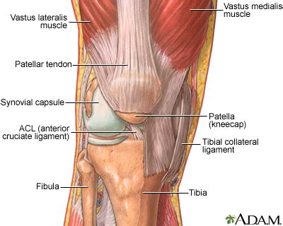 Quadriceps strain is a common injury in runners. Joint swelling | Healthing.ca