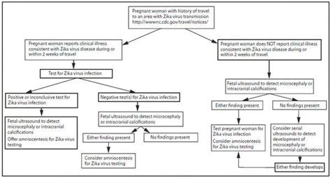 Cdc Urges Zika Testing For Some Who Are Pregnant The New York Times