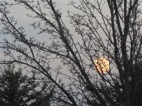 Instead of hiring a photographer, propose in a photo booth. Full romantic moon... | Inspiration, Lamp post, Romantic