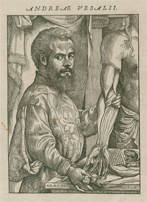 The History Blog Blog Archive Vesalius Notes For Unpublished