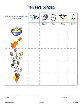 senses worksheet  senses worksheet kindergarten