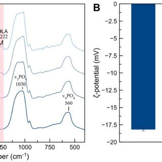 Characterization Of The Nanosystems A FTIR Spectra Of Naked ACP NPs