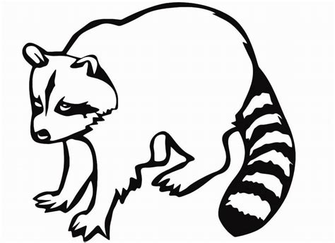Raccoon adult coloring page free transparent download key pages raccoons. Raccoon Coloring Pages to download and print for free