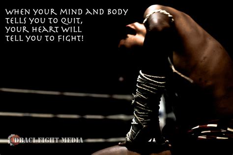 Quotes From Mma Fighters Quotesgram