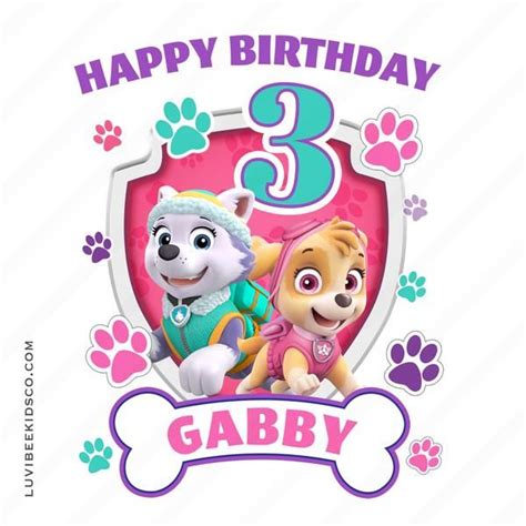 Paw Patrol Iron On Transfer Girl S Paw Prints Skye Everest Birthday