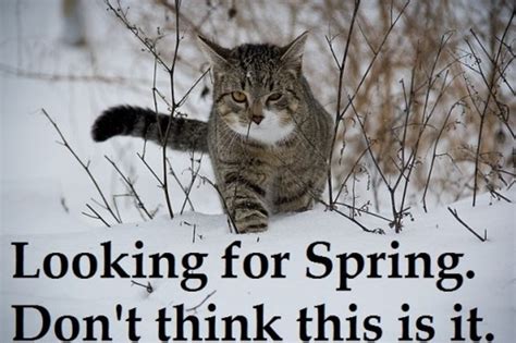 18 First Day Of Spring Memes So You Can Start The Season Off With A Laugh