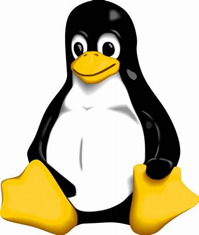 Format Bitmap Linux Tux Vector
