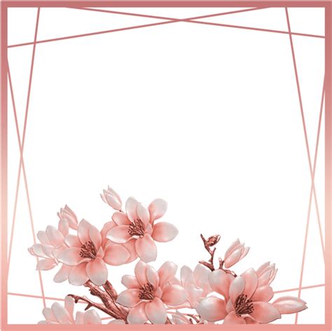 Ftestickers Flowers Frame Borders Rosegold Pink Rose Gold