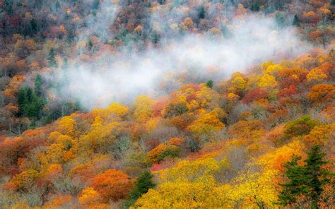 Heres What To Expect From Asheville Ncs Fall Foliage In 2021
