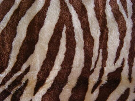 Sale Brown And Cream Zebra Stripe Minky Fabric