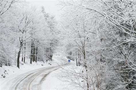 Snowy Road Stock Photo Image Of Winter White Forest 30027424