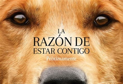 poluxweb reseña “la razón de estar contigo”